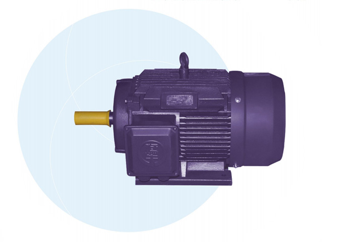 YE4 series premium efficiency three phase asynhronous motors