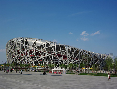 Chinese Bird's Nest