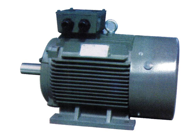 IEC standard motor